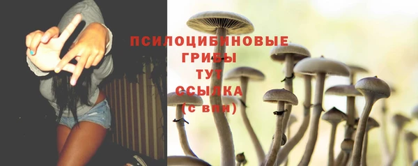 стаф Алексин