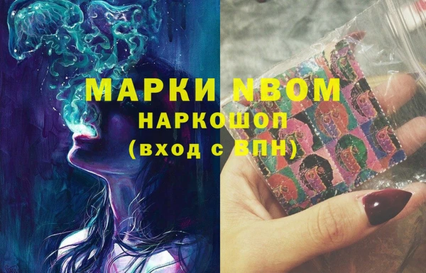 стаф Алексин