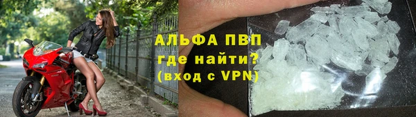 стаф Алексин