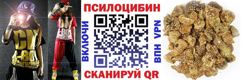 Псилоцибиновые грибы Cubensis хочу сайты даркнета телеграм Обоянь